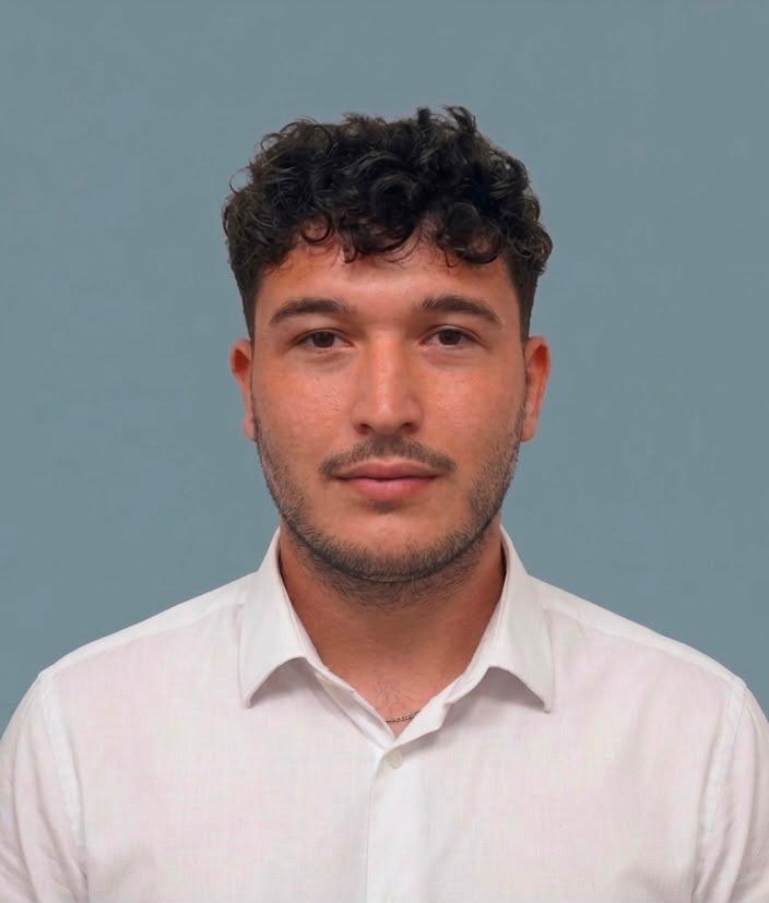 Marius Cristian Petrică, profesor de informatică